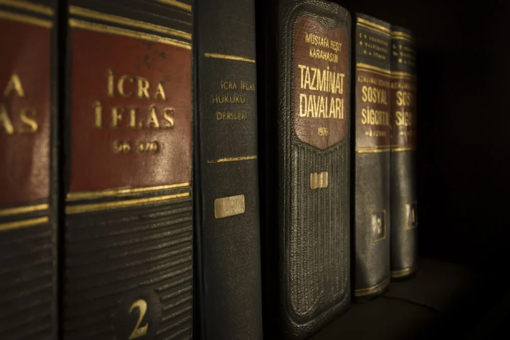 immigration law lawyers
