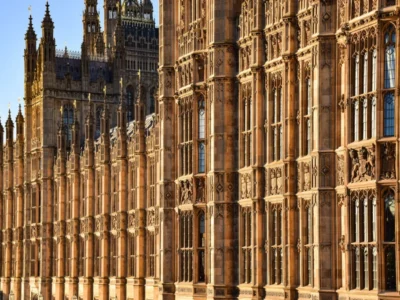Companies House - GOV.UK || Lords Consultant Make Money