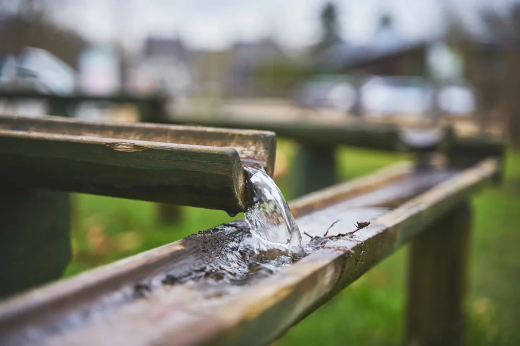 Expert Tips for Liquidation Channel